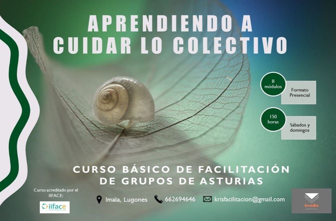 cartel curso asturias